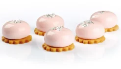 Moule silicone Pavoflex 30 Planet mignon 40 x 30 cm Pavoni