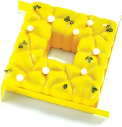 Moule silicone Square 15 x 15 cm Pavoni