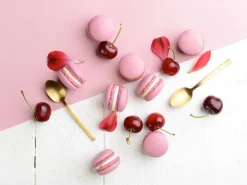 OvoFree Macaron poudre 100 g Louis François