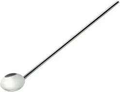 Paille cuillère en inox (x 2)