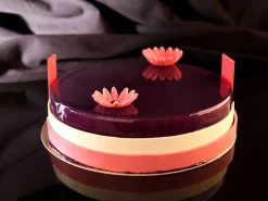 Pectine de Fruits X 58 150 g Louis François