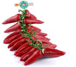 Piments d'Espelette frais en corde Larre