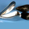Pince à moule en inox Chevalier Diffusion