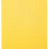 Planche à découper professionnelle jaune 60 x 40 cm