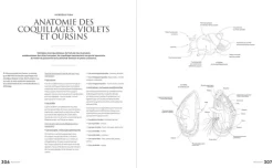 Poissonnerie, leçons en pas à pas de Arnaud Vanhamme Le Chêne