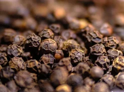 Poivre de Kampot Noir IGP Bio 55 g Max Daumin