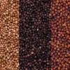 Poivre de Kampot Rouge IGP Bio 55 g Max Daumin
