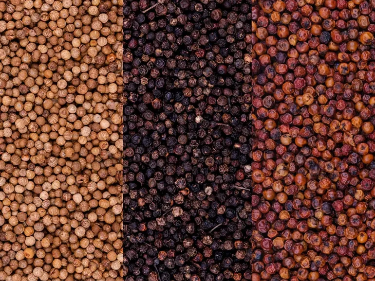 Poivre de Kampot Rouge IGP Bio 55 g Max Daumin