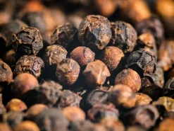 Poivre de Yupanqui noir 55 g Max Daumin