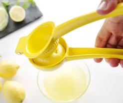 Presse citron manuel