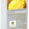 Purée d'ananas 1 kg Ravifruit