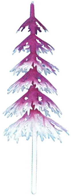 Sapins blanc et fuchsia (x 144)