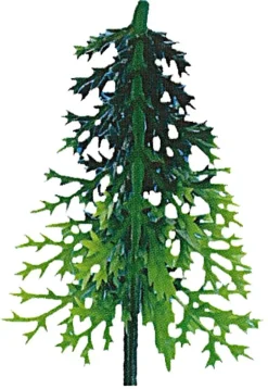 Sapins volume (x 100)