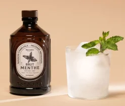 Sirop Bio menthe 40 cl Bacanha