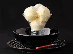 Stabilisateur pour glace Stab 2000 1 kg Louis François