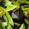 Tadoka Verveine Sachet de 62 cubes Norohy