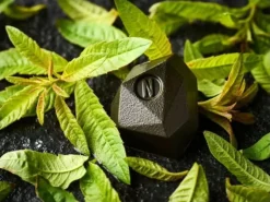 Tadoka Verveine Sachet de 62 cubes Norohy