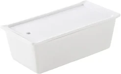 Terrine rectangulaire en porcelaine 21 x 9 cm