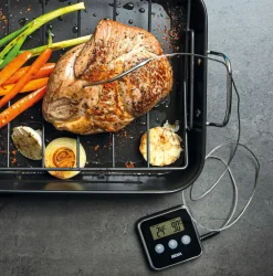 Thermomètre de four à sonde amovible 0°C à +250°C Beka