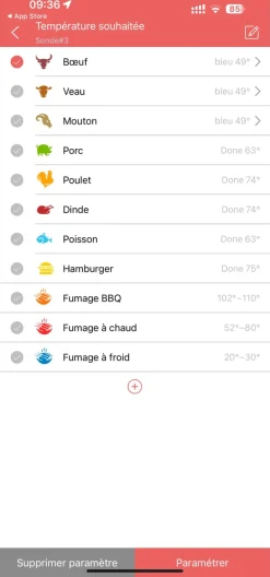 Thermomètre four connecté iCare -50°C à +300°C Alla France
