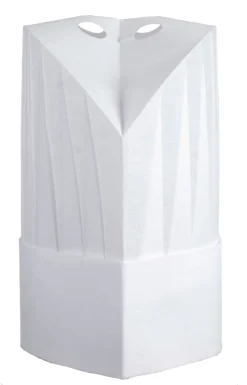 Toque intissée réglable et réutilisable ht 25 cm (x 10) Robur